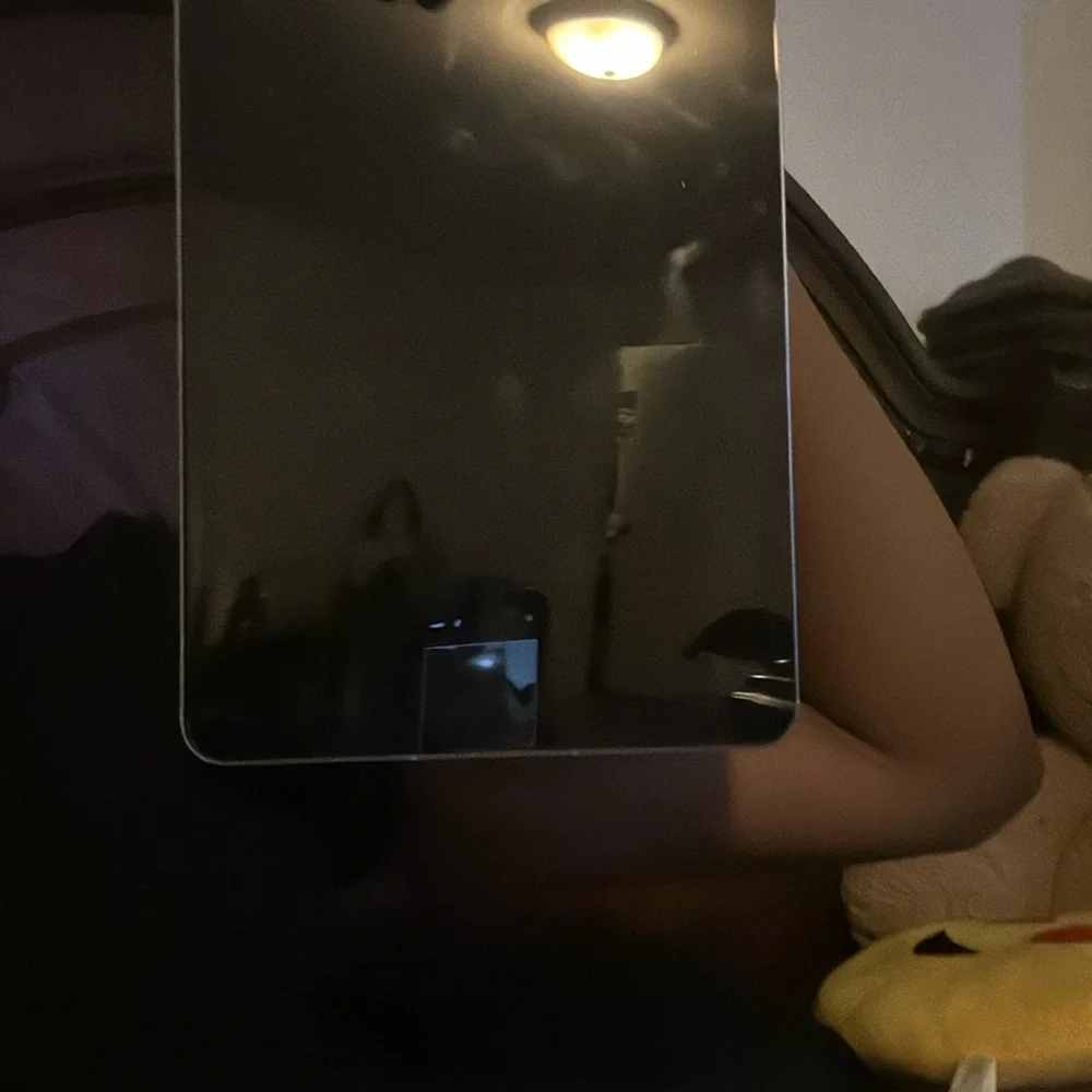 Apple iPad - Sleek Silver Finish